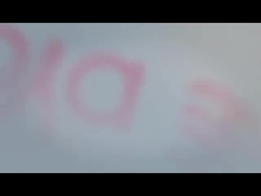 Guangzhou Sino Japan Auto Parts Co., Ltd.